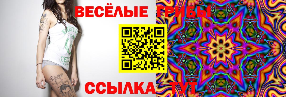 Галлюциногенные грибы Psilocybine cubensis Кингисепп
