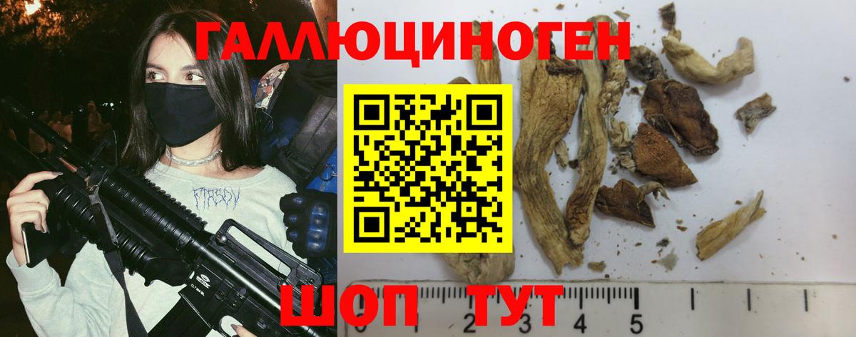 Галлюциногенные грибы MAGIC MUSHROOMS  Вход с VPN  Кингисепп  Псилоцибиновые грибы прущие грибы 