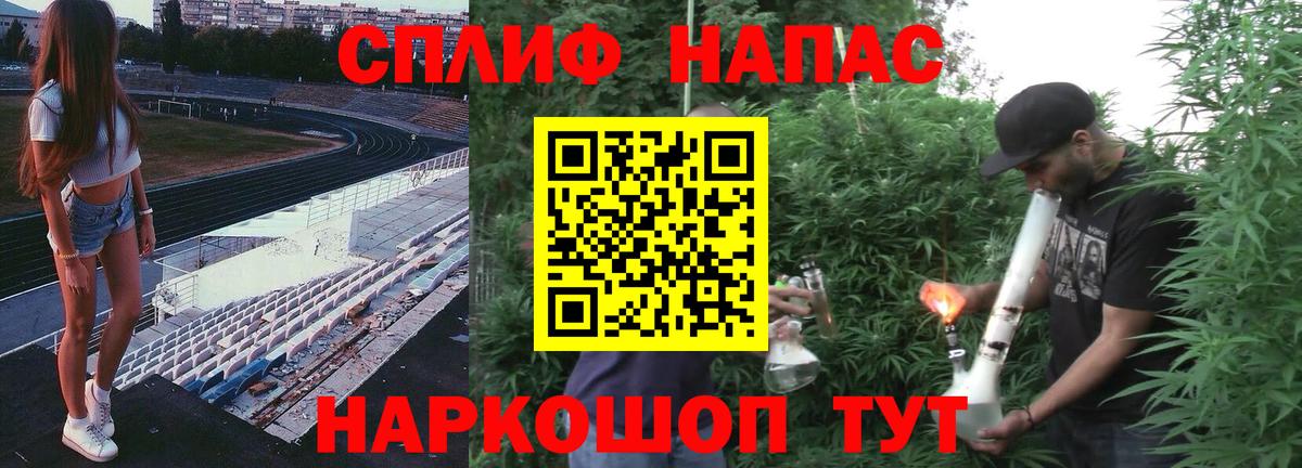 Бошки марихуана гибрид  Вход с VPN  Кингисепп  Бошки марихуана OG Kush  Каннабис Bruce Banner  МАРИХУАНА ГИДРОПОН 