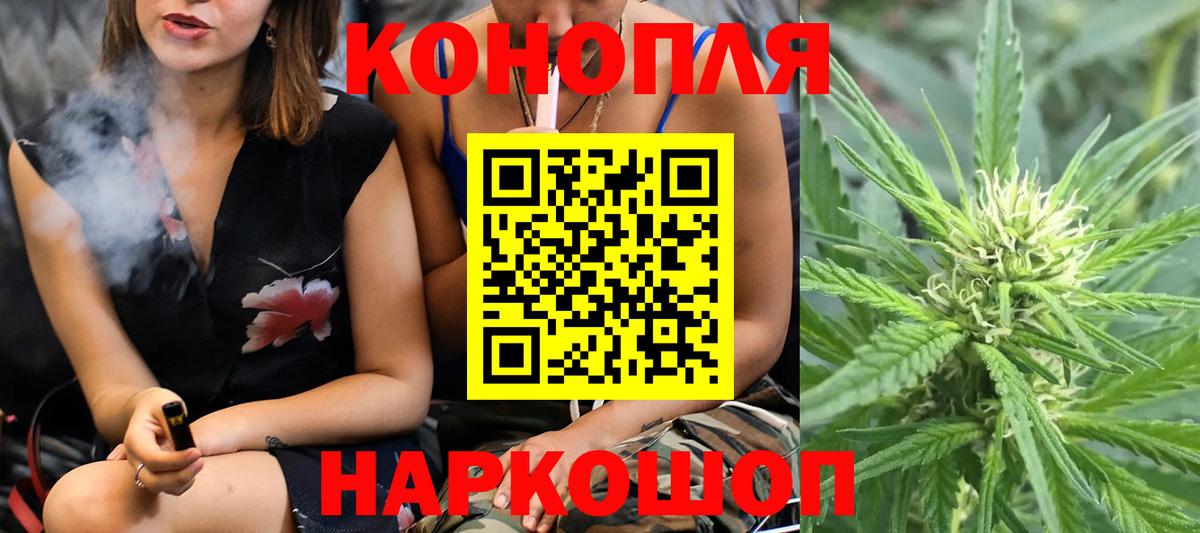 Каннабис семена Кингисепп